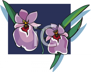Flower Clipart