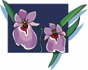 Flower Clipart