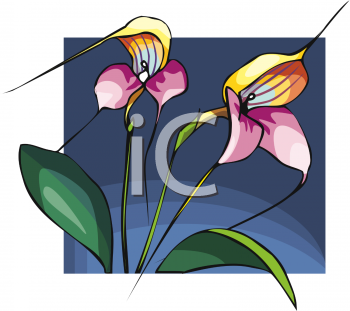 Flower Clipart