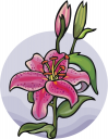 Flower Clipart