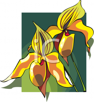 Flower Clipart