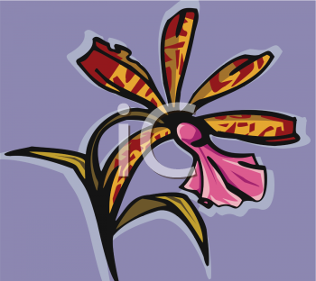 Flower Clipart