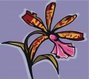 Flower Clipart