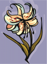 Flower Clipart