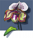 Flower Clipart