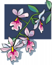 Flower Clipart