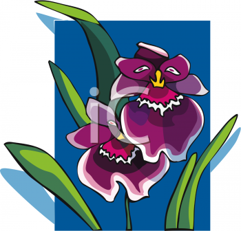 Flower Clipart