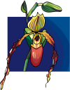 Flower Clipart