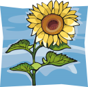 Flower Clipart