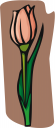 Flower Clipart