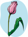 Flower Clipart