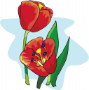 Flower Clipart