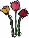 Flower Clipart
