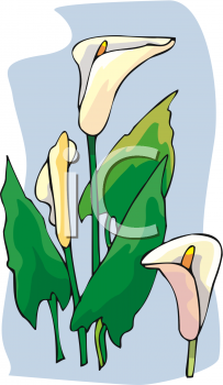 Flower Clipart