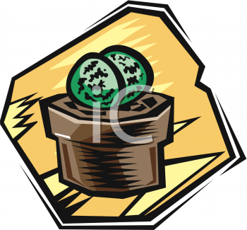 Plant Clipart
