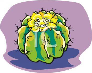 Plant Clipart