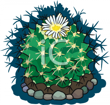Plant Clipart