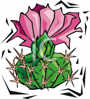 Plant Clipart