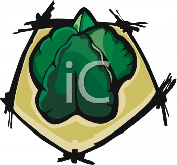 Plant Clipart