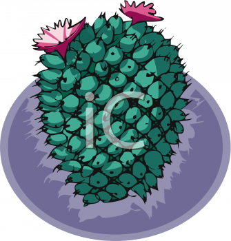 Plant Clipart