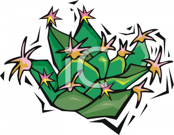 Plant Clipart