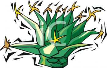 Plant Clipart