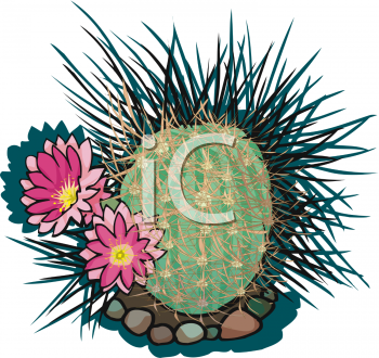 Plant Clipart