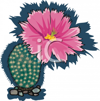 Plant Clipart