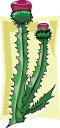 Plant Clipart
