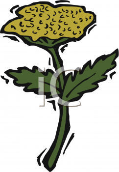 Flower Clipart