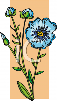Flower Clipart