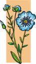Flower Clipart