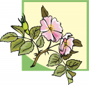 Flower Clipart