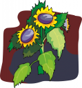 Flower Clipart