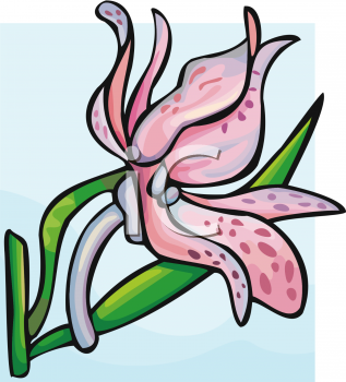 Flower Clipart
