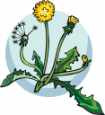 Flower Clipart