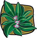 Flower Clipart