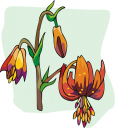 Flower Clipart