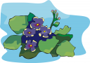 Flower Clipart