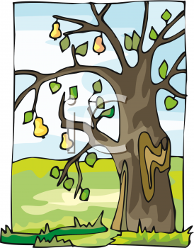 Grass and Tree Clipart