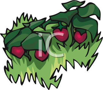 Grass and Tree Clipart