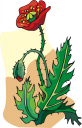 Flower Clipart