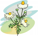 Flower Clipart
