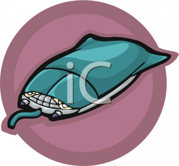 Rodent Clipart