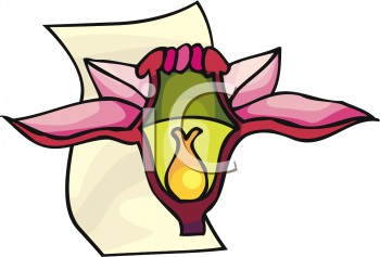 Farming Clipart
