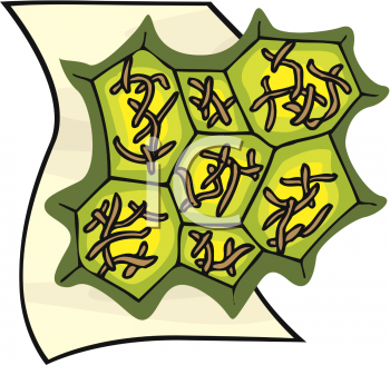 School Clipart