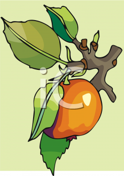 Food Clipart