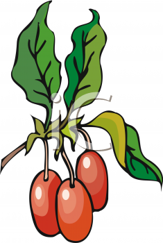 Nature and Scenic Clipart