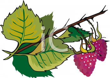 Nature and Scenic Clipart