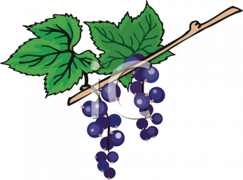 Food Clipart